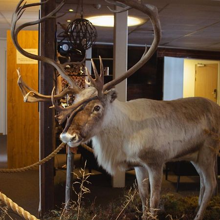 Hornavan Hotell Arjeplog Kültér fotó